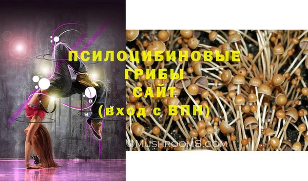 Альфа ПВП Балабаново
