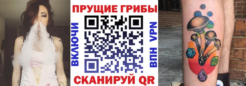 наркотики  Волчанск  Галлюциногенные грибы ЛСД 