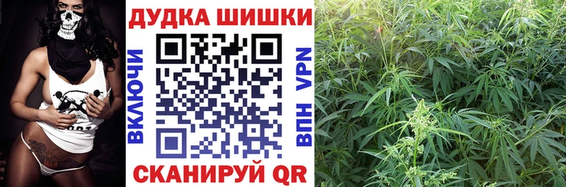 Конопля гибрид Волчанск